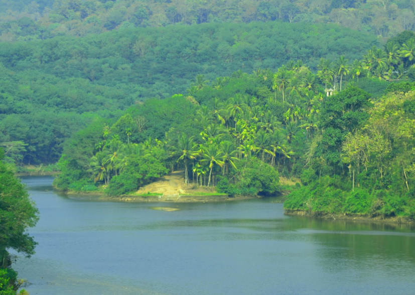 Vadaserikara Grama Panchayath Image