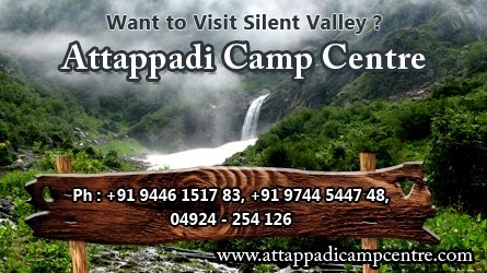 Attappadi Camp Centre, Agali Attappadi Palakkad