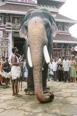 Guruvayur Padmanabhan