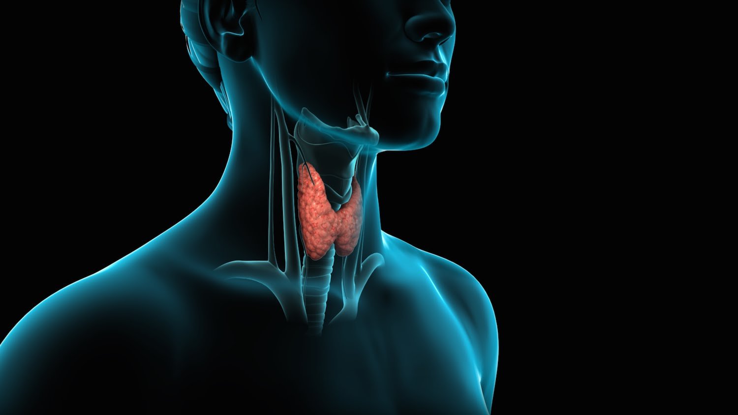 Foods to Eat and Avoid to Manage Common Thyroid Disorder Symptoms