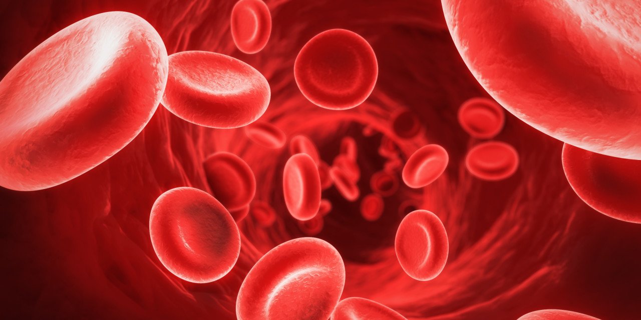Prevention measures of Anemia