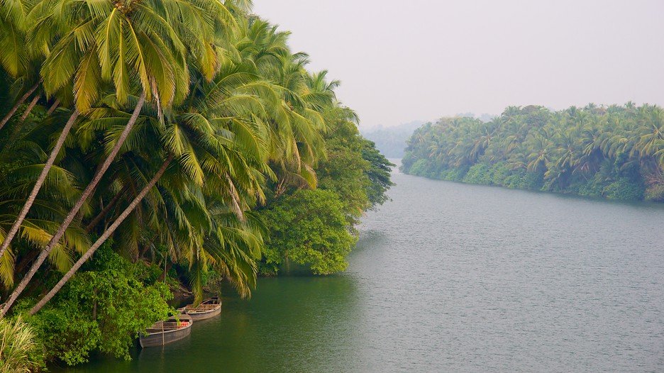 Biyyam Lake Ponanni Malappuram