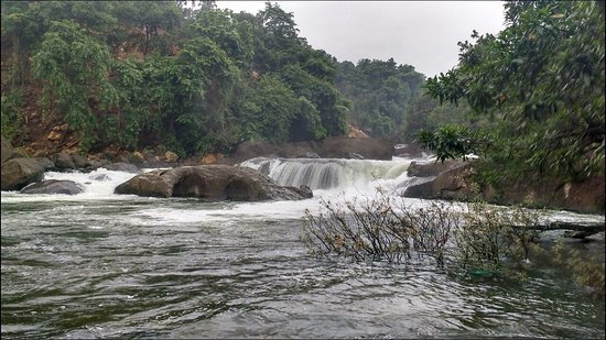 Arippara Waterfalls Thiruvambadi Panchayath Kozhikode