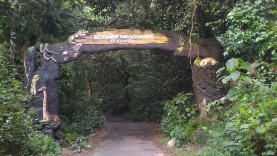 Janaki Forest Maronthongara Panchayat Kozhikode