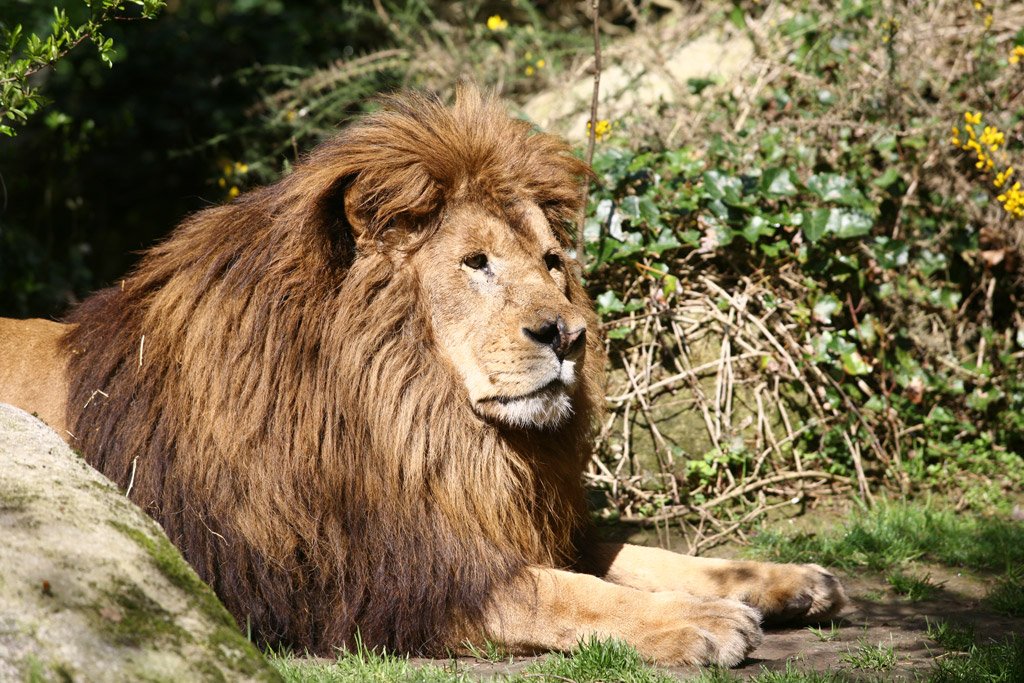 Lions Park Kozhikode Kozhikode Beach Kozhikode