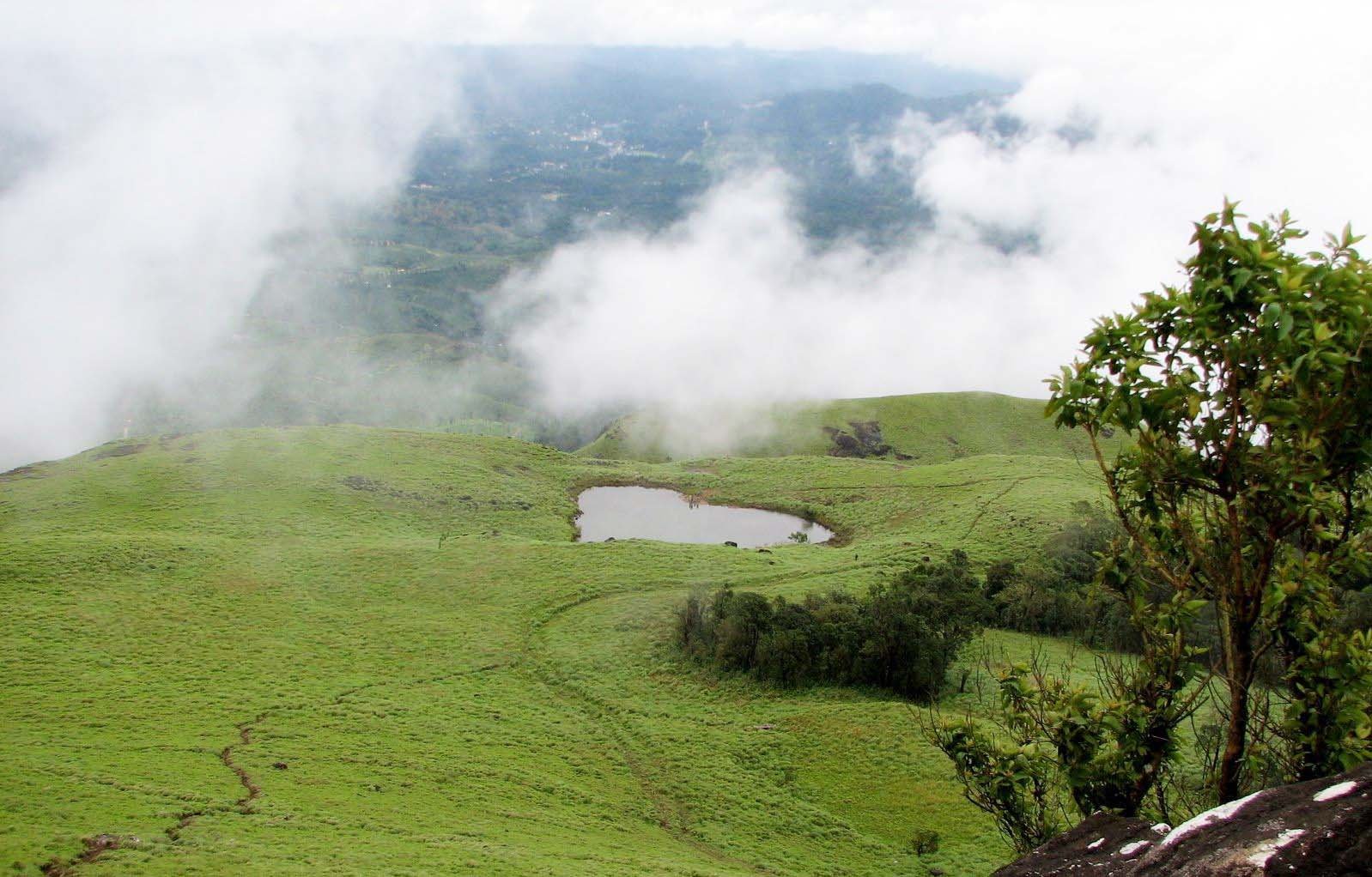 Chembra peak Near to Meppady Wayanad