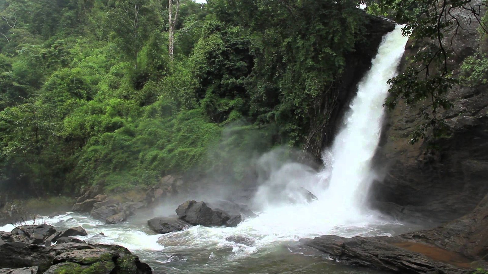 Sentinel Rock Waterfalls / Soochipara Waterfalls 13 km from Meppadi town Wayanad