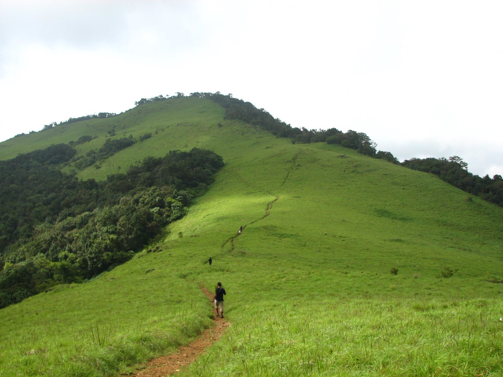 Pythal Mala, Kannur Paithalmala is 9 Kms far from Kudiyanmala Kannur