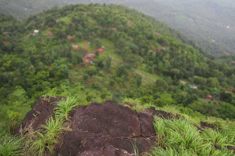 Palakkayam Thattu Thaliparamba Kannur