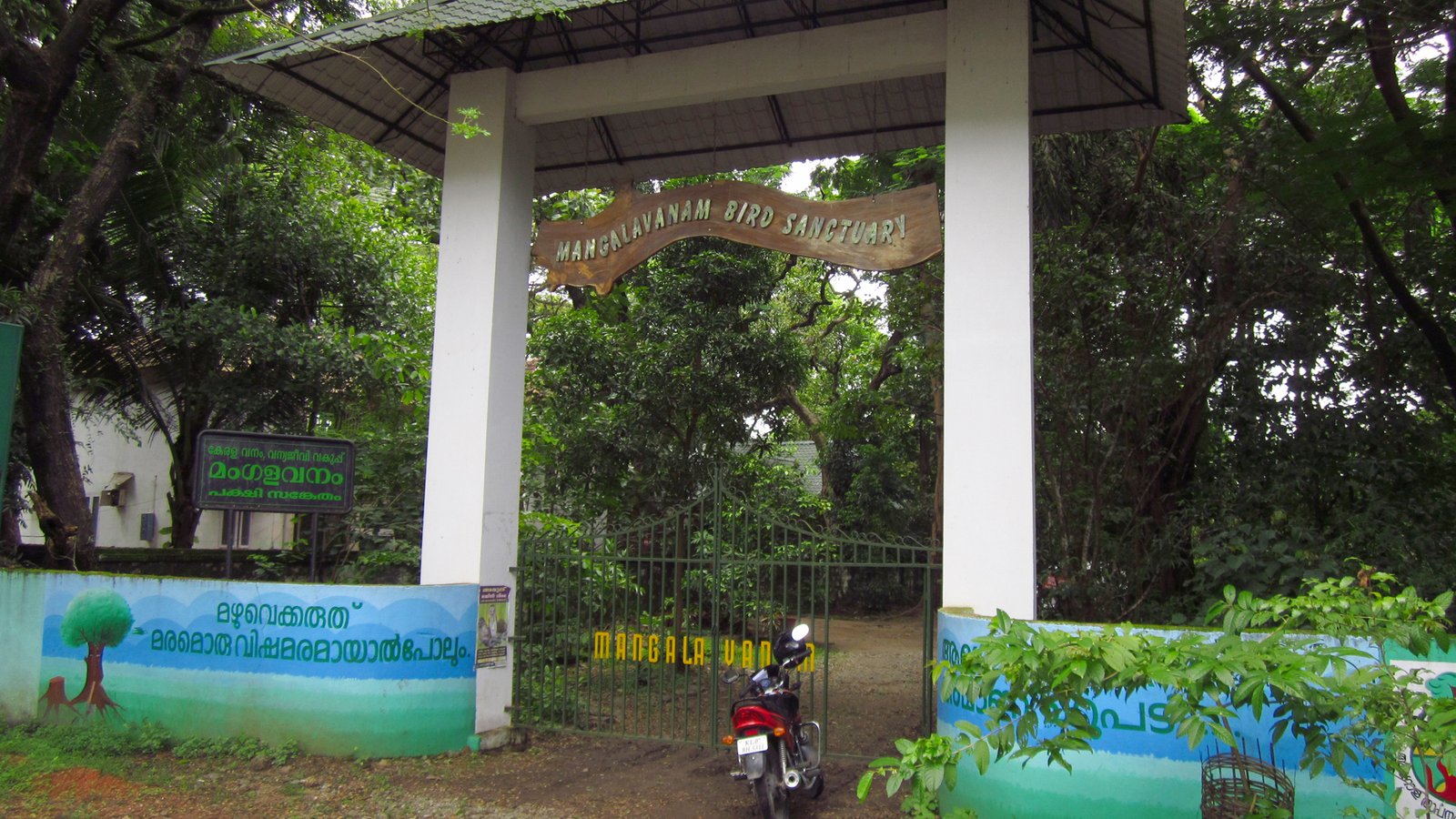 Mangalavanam Bird Sanctuary Kochi Ernakulam