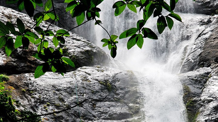 Palaruvi Waterfalls Palaruvi Kollam