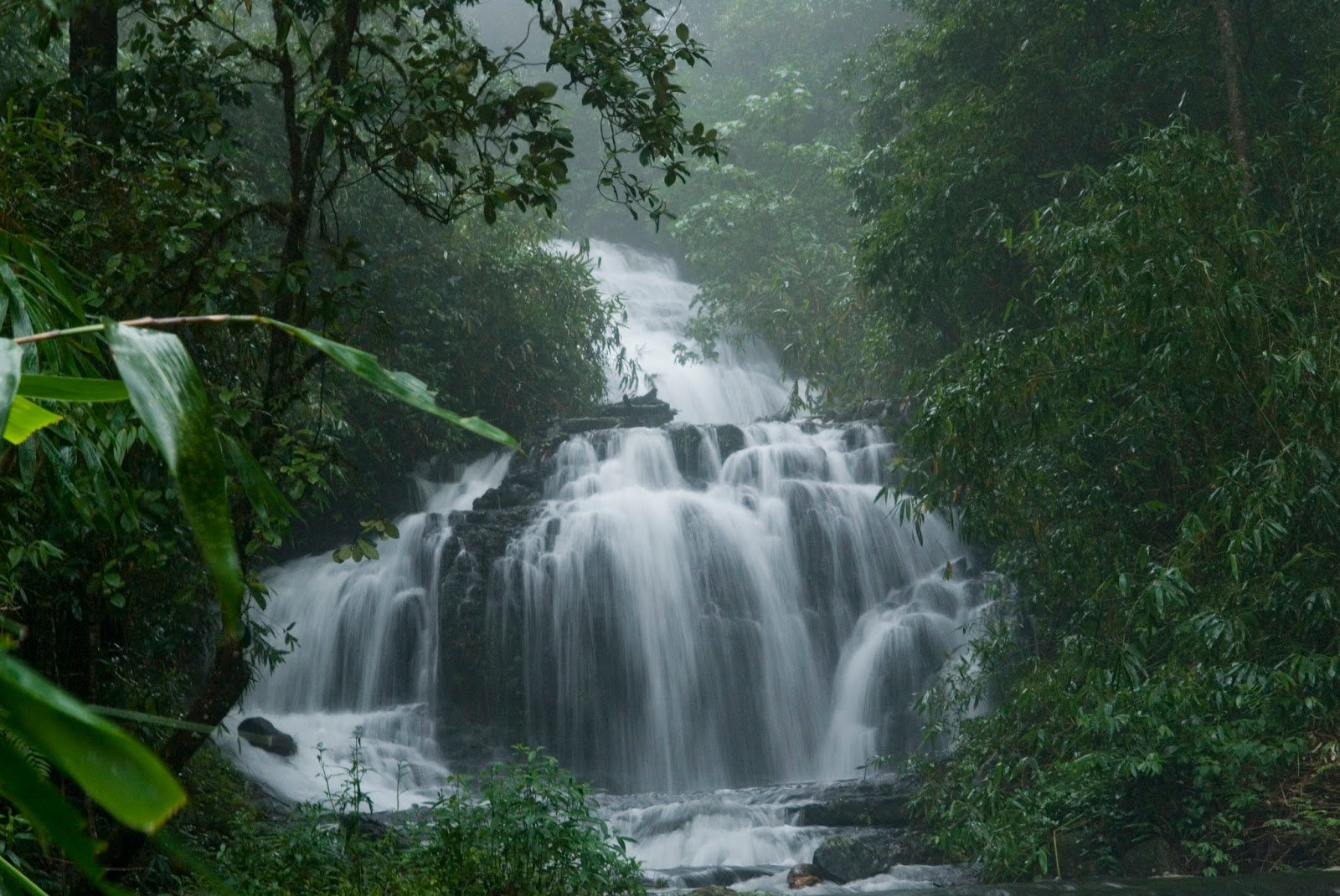 Pathanamthitta Municipality Pathanamthitta Pathanamthitta