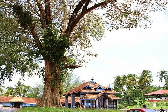 Kodakara Block Panchayath Kodakara Thrissur