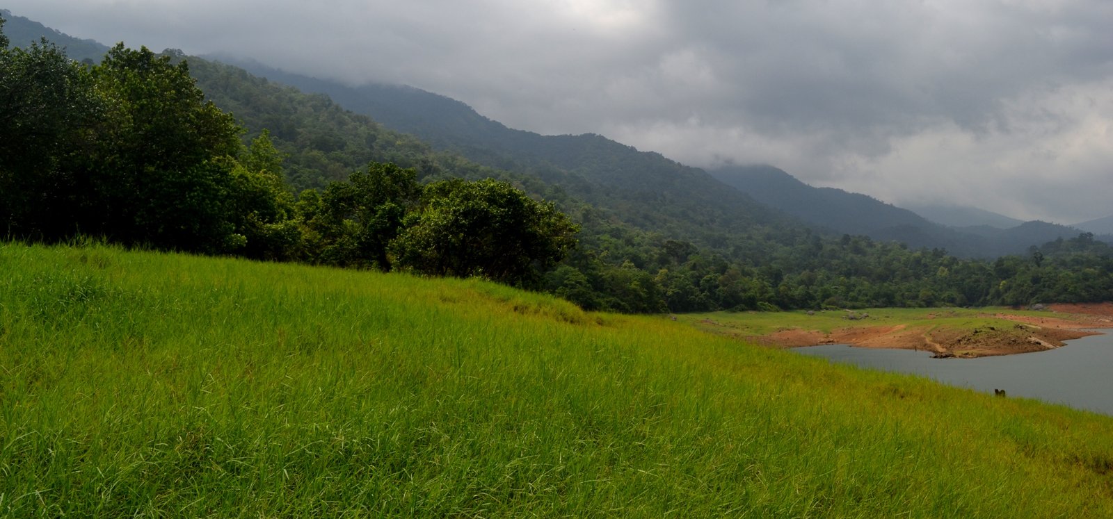 Aryankavu Grama Panchayath Aryankavu Kollam