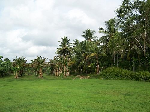 Sooranad South Grama Panchayath Sooranad South Kollam