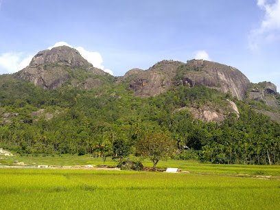 Nenmeni Grama Panchayath Nenmeni Wayanad