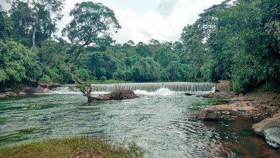 Thondernad Grama Panchayath Thondernad Wayanad
