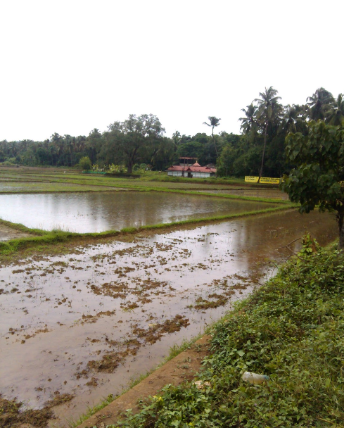 Kadangode Grama Panchayath Kadangode Thrissur