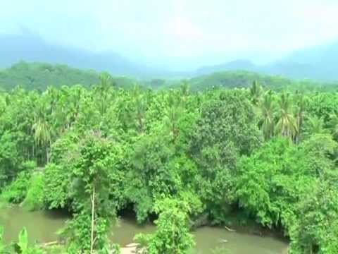 Pothukallu Grama Panchayath Image