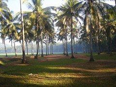 Pulpatta Grama Panchayath Pulpatta Malappuram